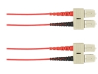 Black Box - Patch cable