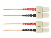 Black Box - Patch cable