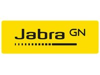 JABRA BIZ 2300 DUO USB UC GSA