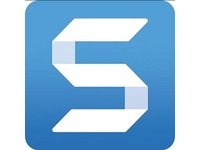 SnagIt 2018 - License