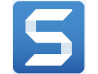 SnagIt - (v. 13/4) - license