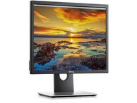 Dell P1917S - LED monitor